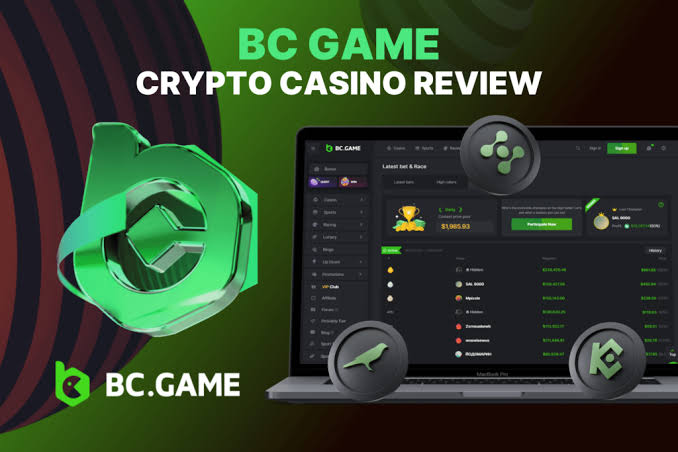 Maximize Your Fun An Overview of BC.Game Bonuses and Promo Codes Maximize Your Fun An Overview of BC.Game Bonuses and Promo Codes